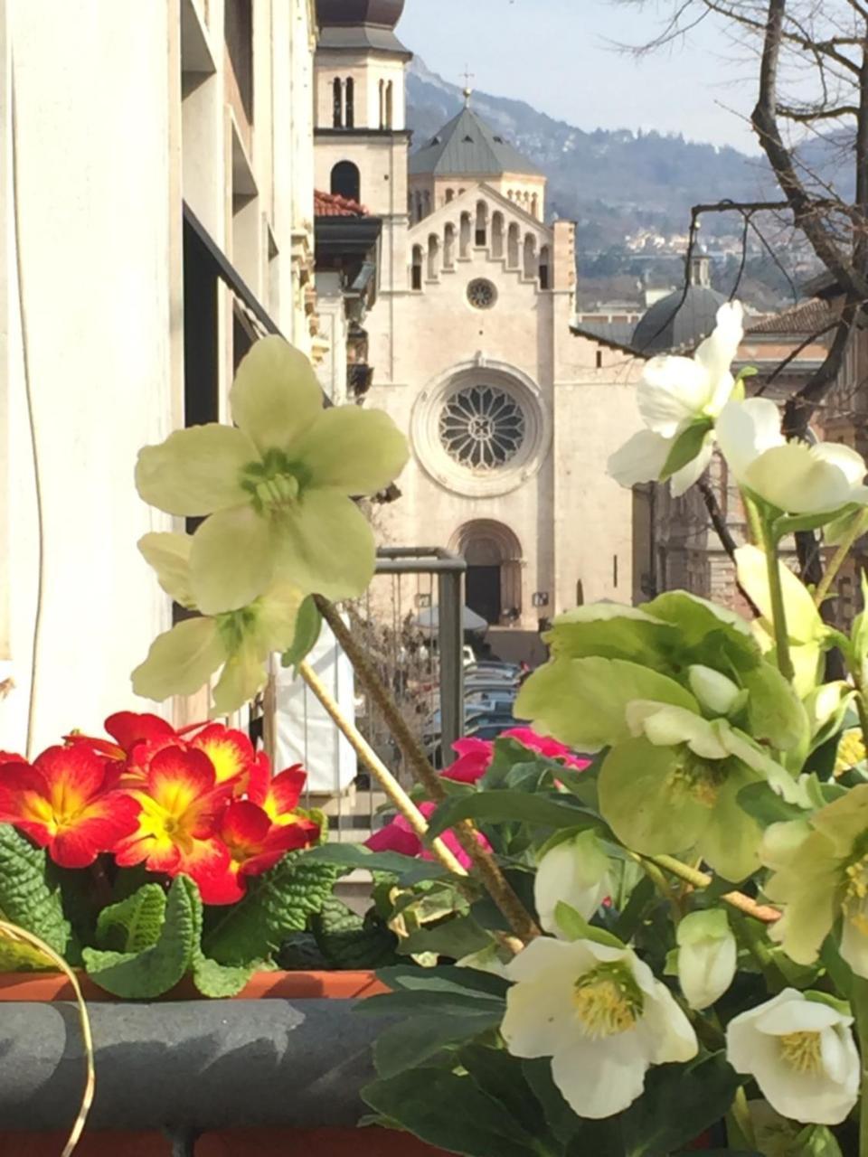 B&B Homer Trento Eksteriør bilde